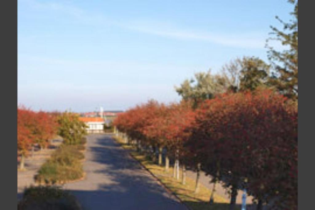 Hafenblick - Mit Balkon & Strandkorb Am Suedstrand Fehmarn Kültér fotó